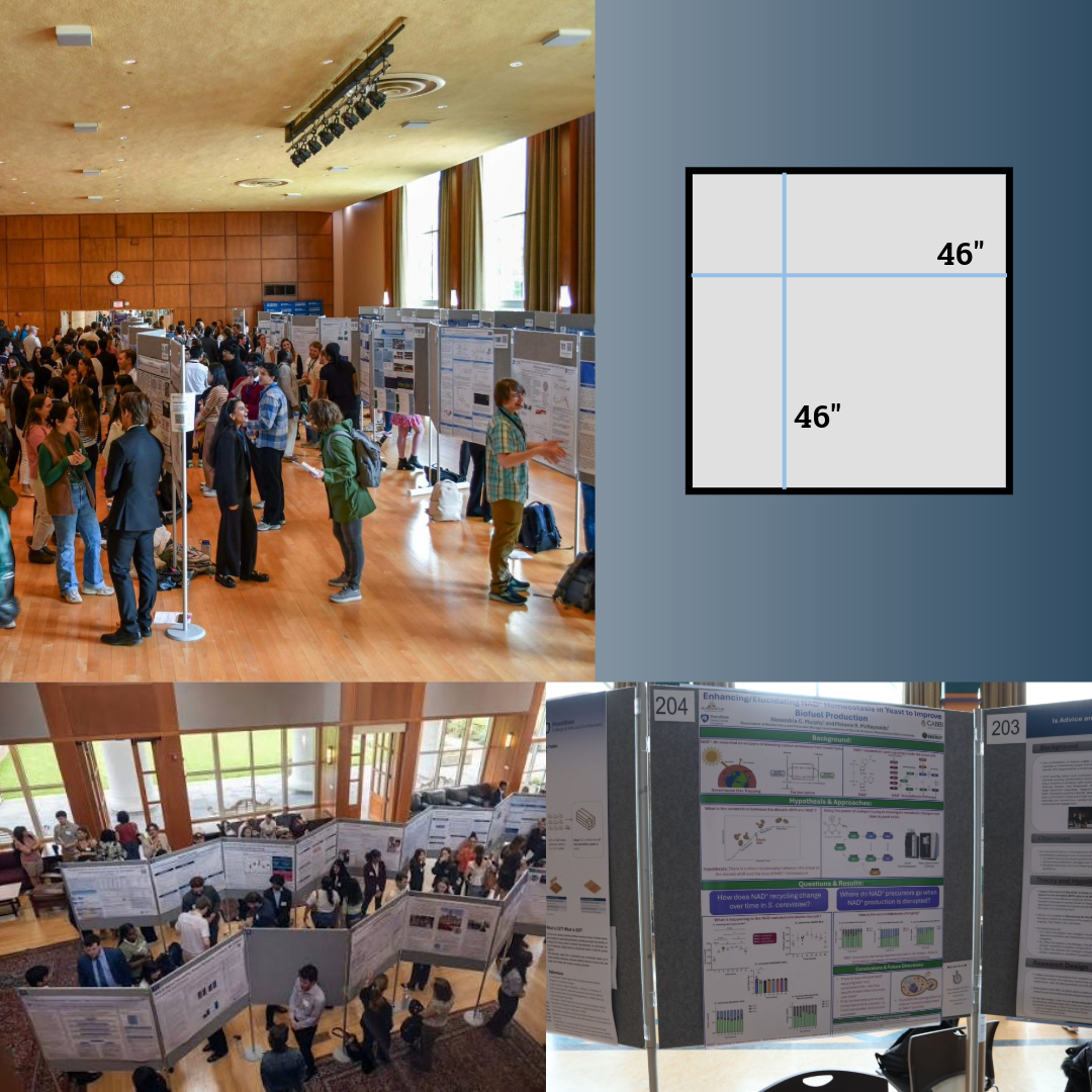 Poster Board Images