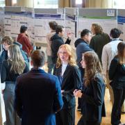  Students share research at annual Undergraduate Exhibition  